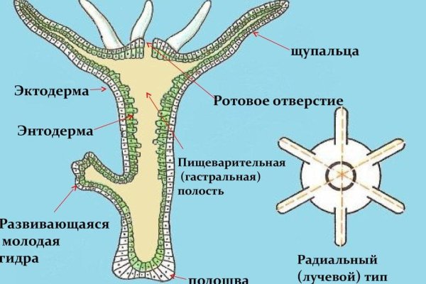 Сайты наркоты