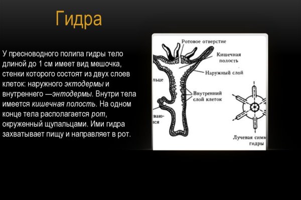 Войти на кракен