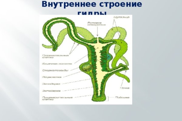 Сайт кракен россия