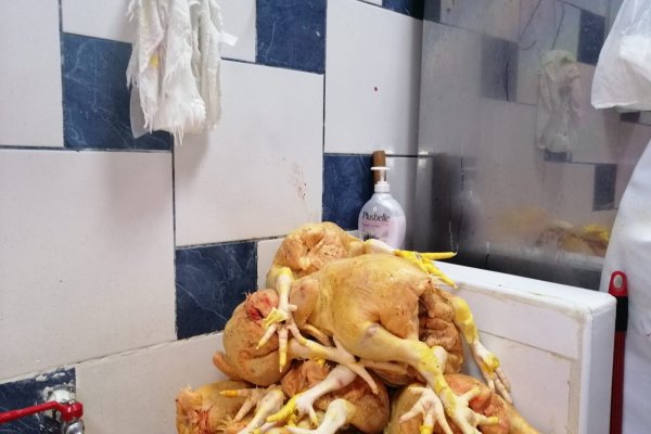 Кракен маркетплейс про