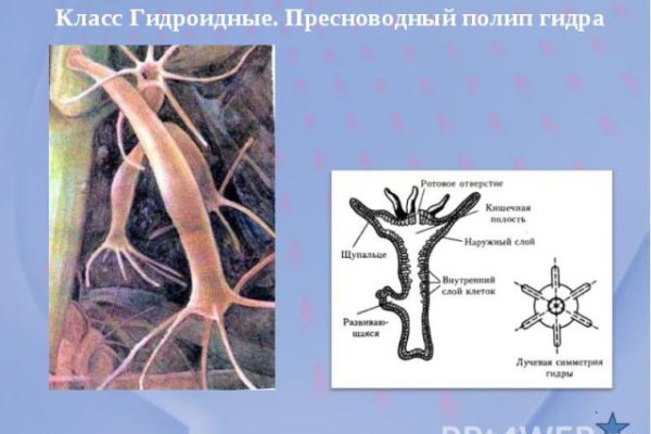 Кракен ссылка kra